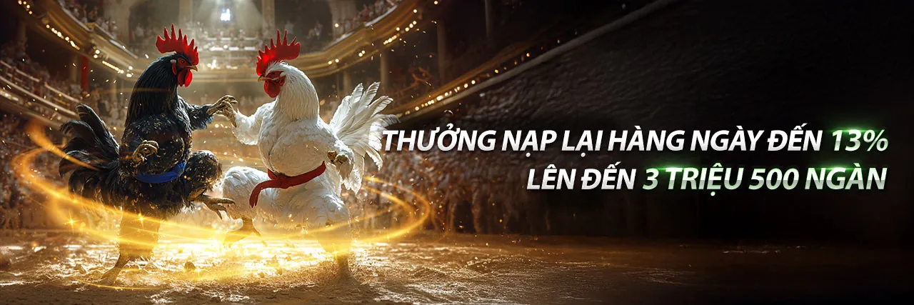 Hình ảnh tổng quan blog kuvn với các biểu tượng cá cược sôi động